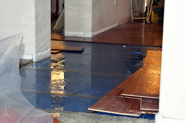 Professional Emergency Water Damage Restoration technician working in Glouster, OH